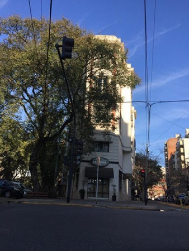 ¡AMPLIO DEPARTAMENTO en edificio de CATEGORÍA!